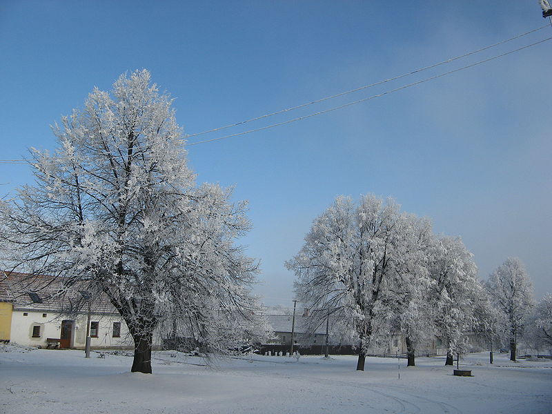 Vyklízení Bousín